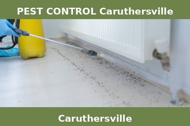 PEST CONTROL Caruthersville